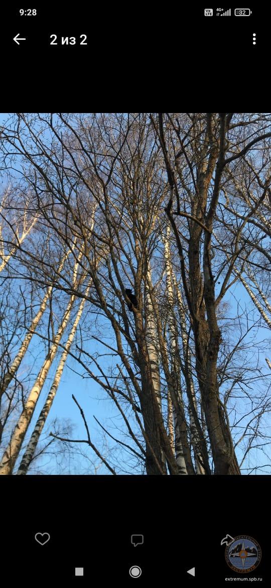 WhatsApp Image 2022-03-24 at 09.29.03.jpeg