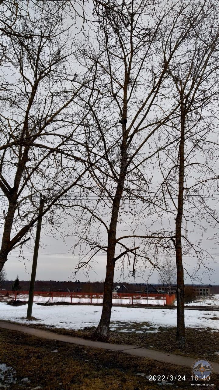 WhatsApp Image 2022-03-24 at 18.48.10.jpeg