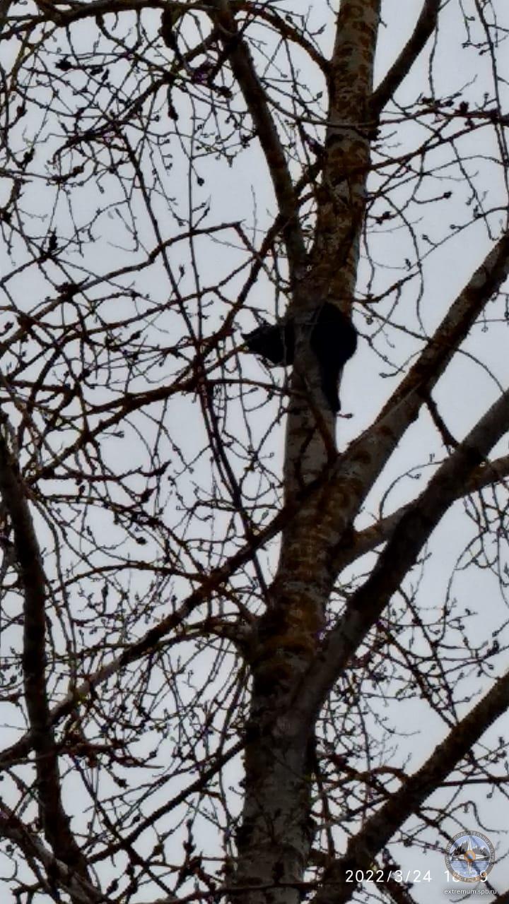 WhatsApp Image 2022-03-24 at 18.48.21.jpeg