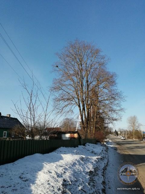 IMG_20220330_093009.jpg