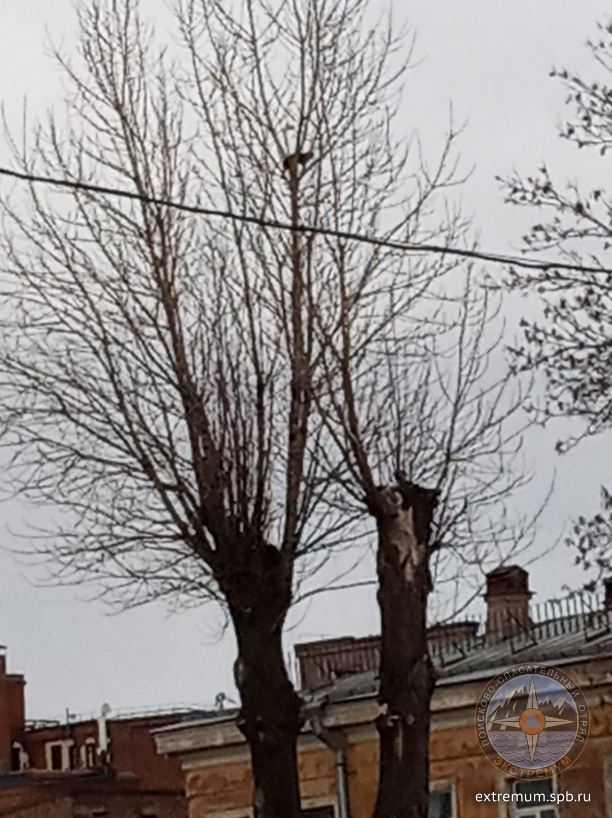 WhatsApp Image 2022-04-02 at 16.47.11.jpeg