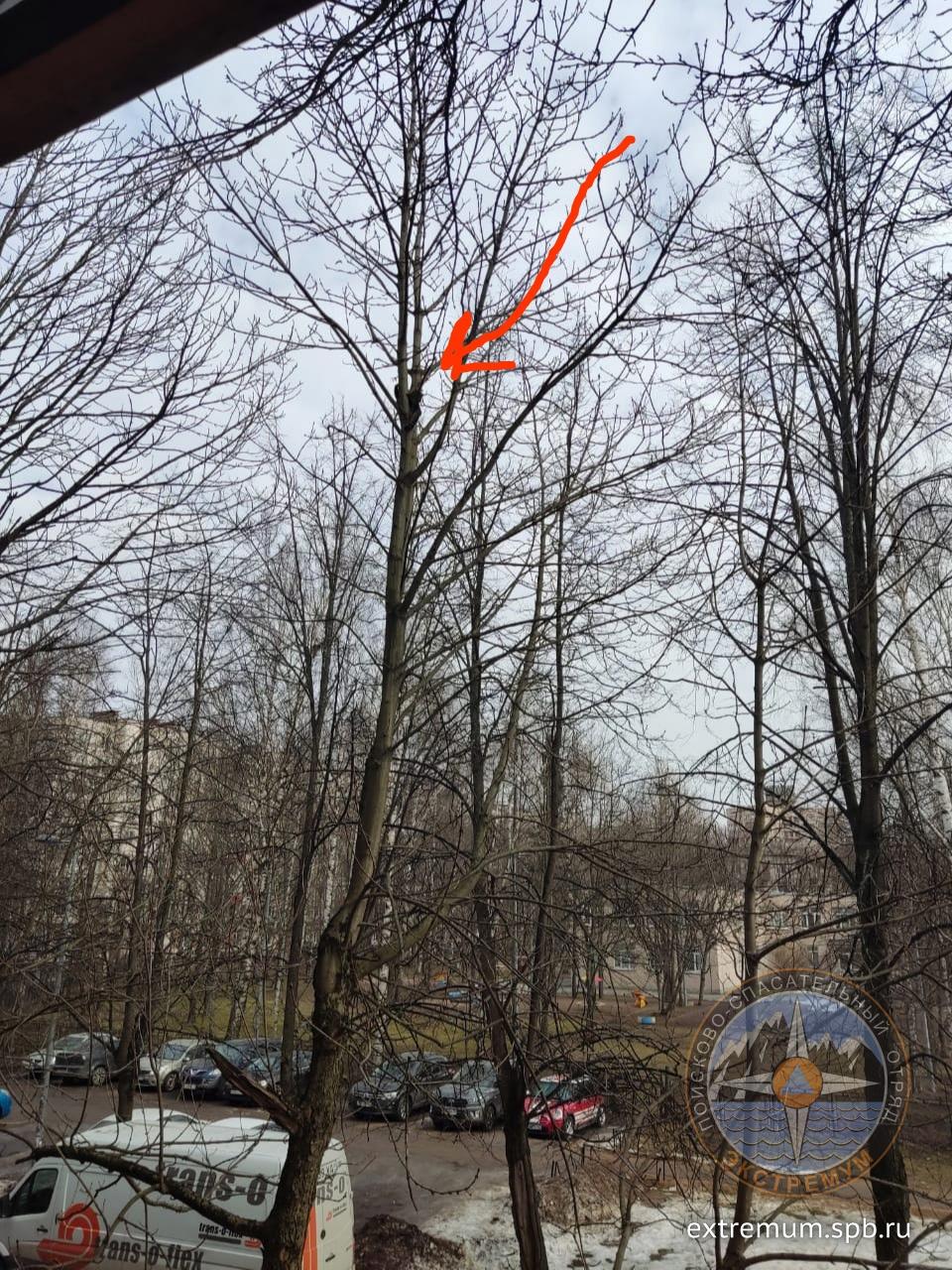 Гражданский 79 коть.jpg