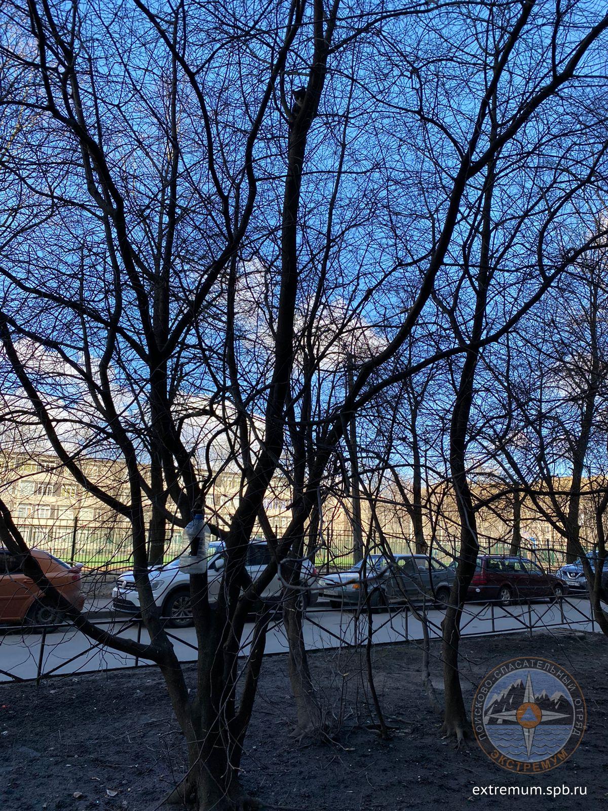 WhatsApp Image 2022-04-16 at 12.28.40.jpeg