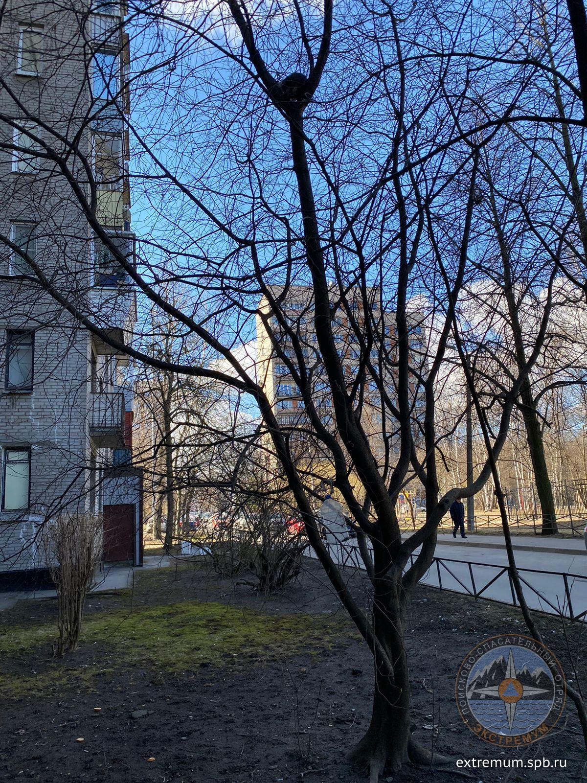 WhatsApp Image 2022-04-16 at 12.28.38.jpeg