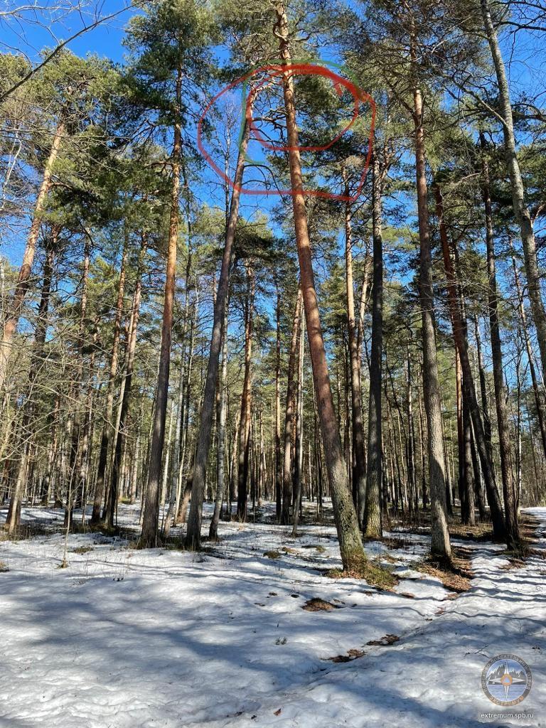 WhatsApp Image 2022-04-17 at 14.47.51.jpeg