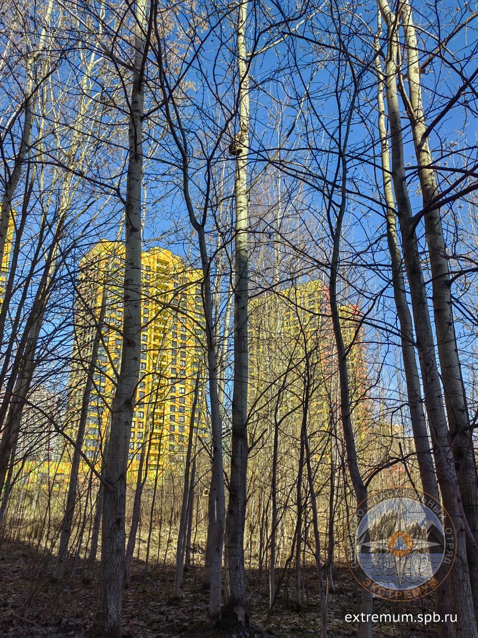 WhatsApp Image 2022-04-17 at 17.15.44.jpeg