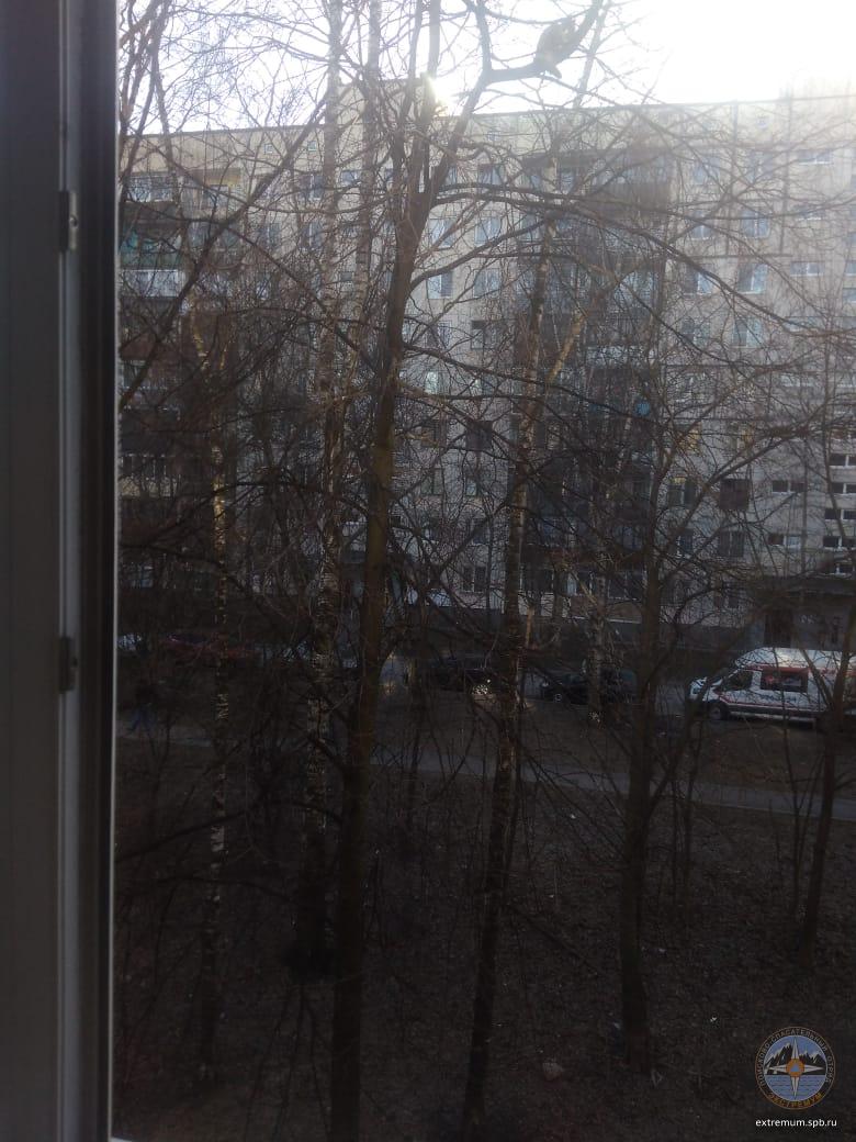 WhatsApp Image 2022-04-17 at 17.54.22.jpeg