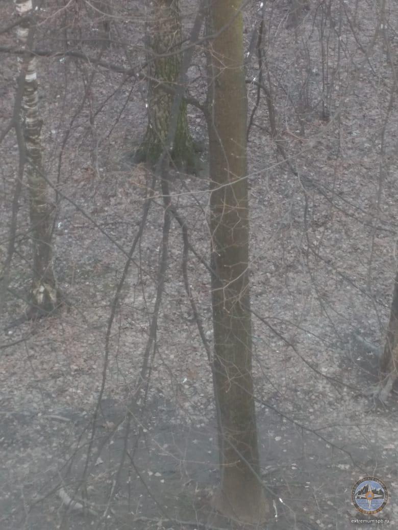 WhatsApp Image 2022-04-17 at 17.54.21.jpeg