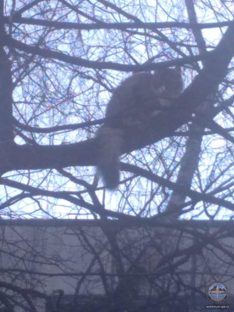 WhatsApp Image 2022-04-17 at 17.54.20.jpeg