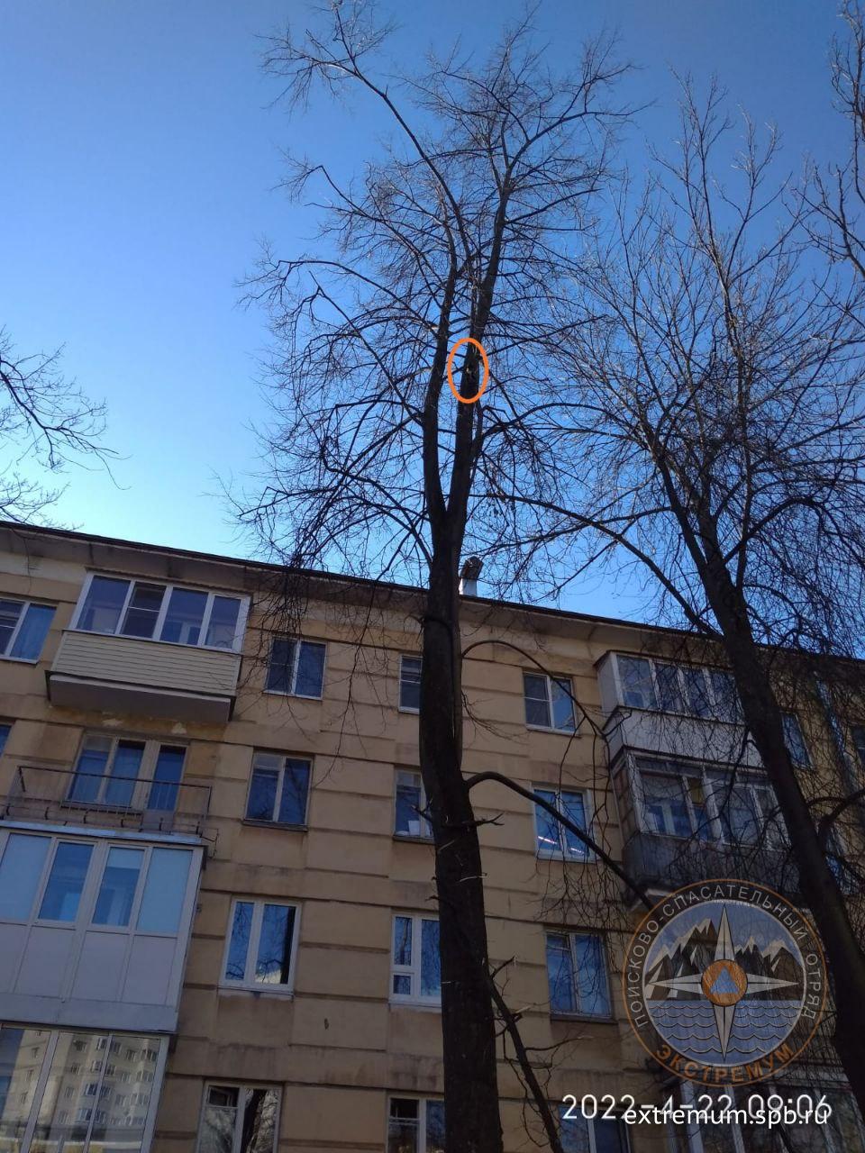 Lensoveta_1.jpg