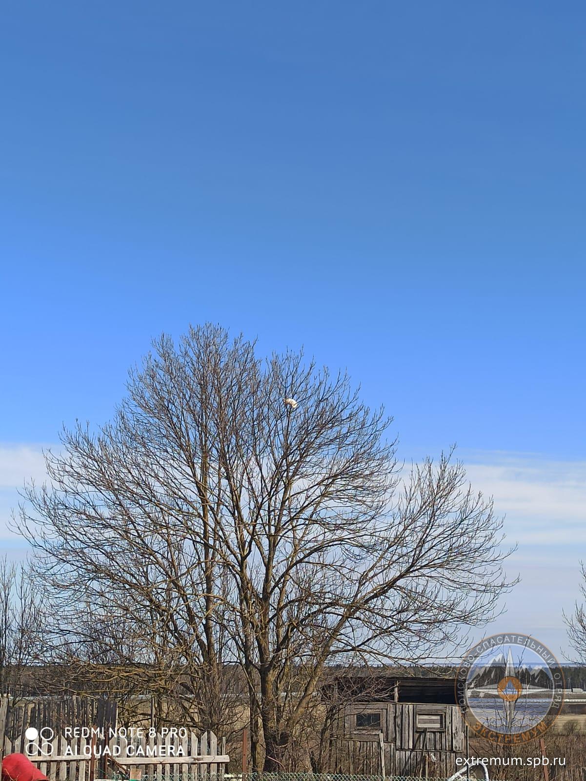 WhatsApp Image 2022-04-23 at 09.55.16.jpeg