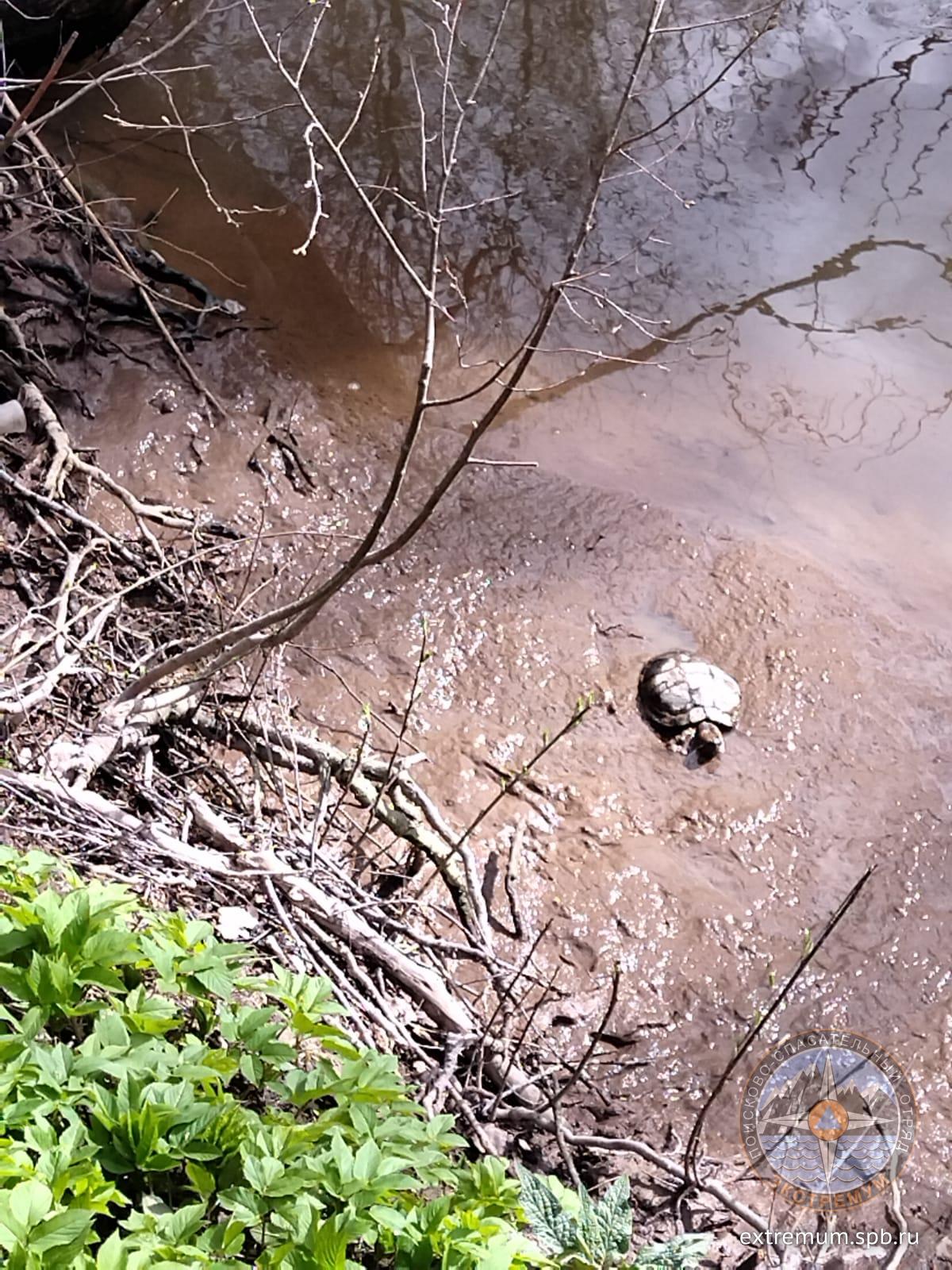 WhatsApp Image 2022-04-29 at 15.26.00.jpeg