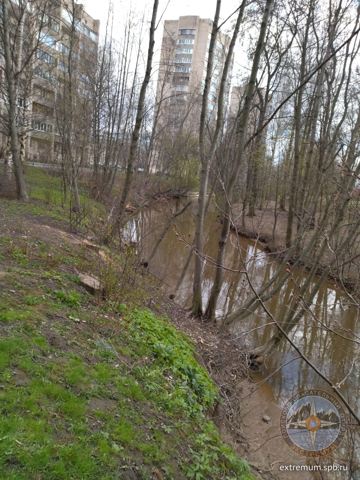 WhatsApp Image 2022-04-29 at 15.29.09.jpeg