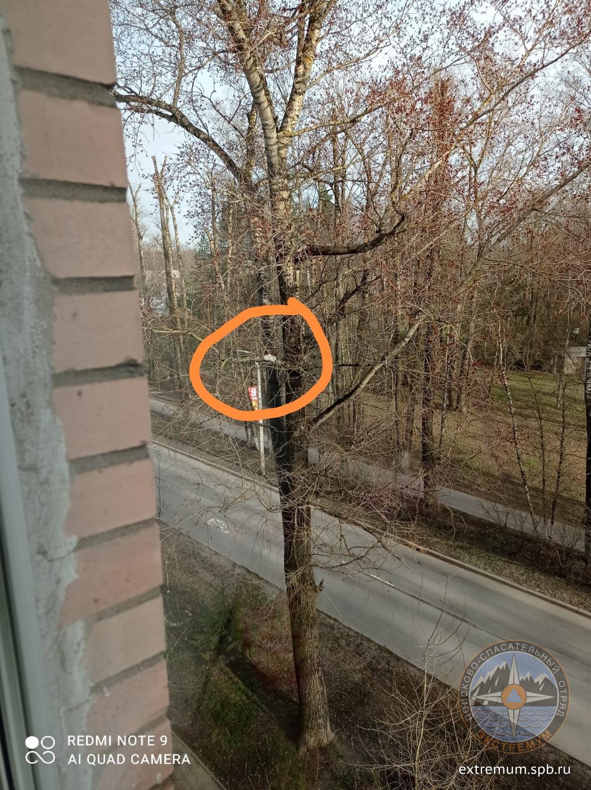 WhatsApp Image 2022-04-30 at 20.25.02.jpeg