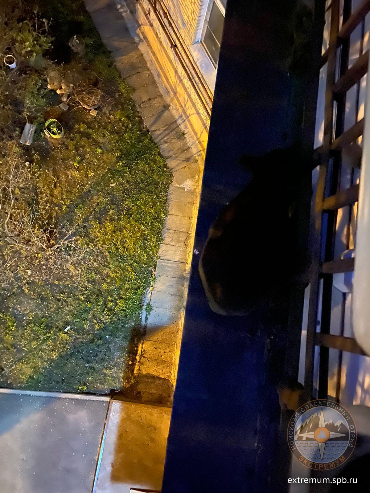 WhatsApp Image 2022-04-30 at 22.30.32.jpeg