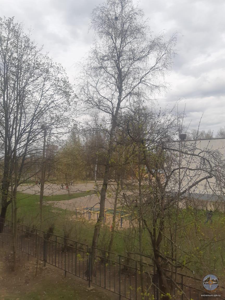 WhatsApp Image 2022-05-02 at 19.17.27.jpeg