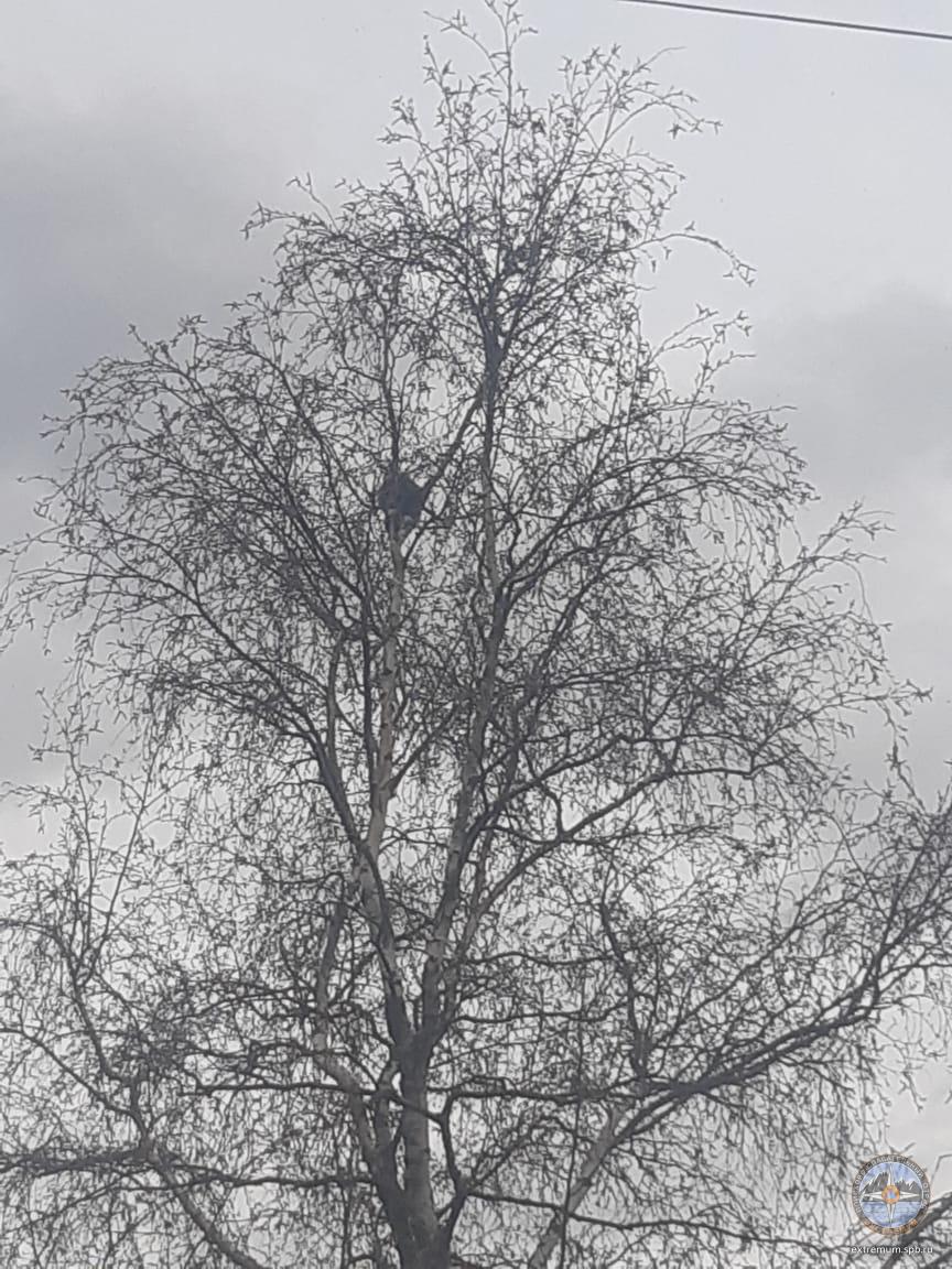 WhatsApp Image 2022-05-02 at 19.17.27 (1).jpeg