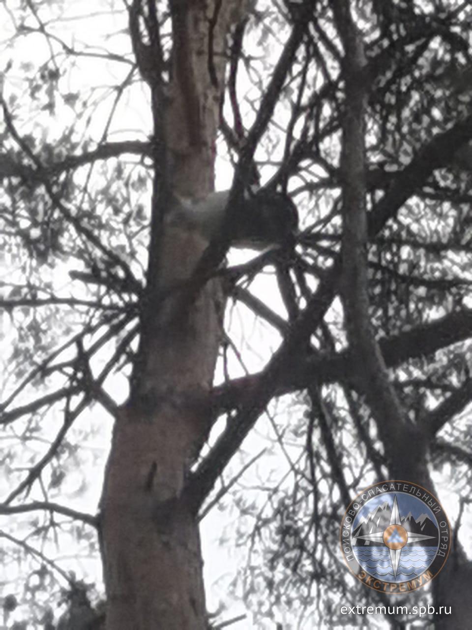 WhatsApp Image 2022-05-02 at 20.47.15.jpeg