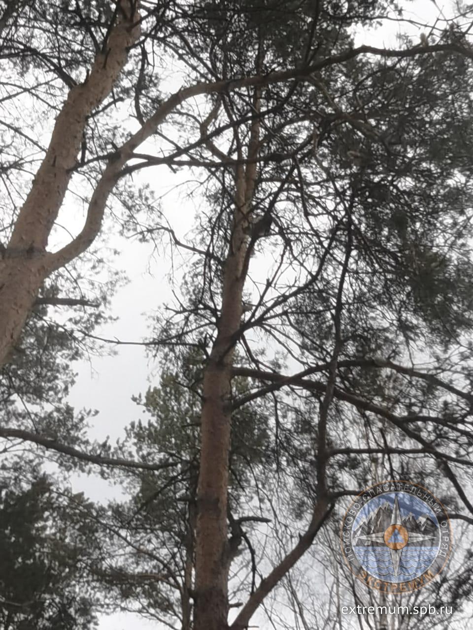 WhatsApp Image 2022-05-02 at 20.47.28.jpeg