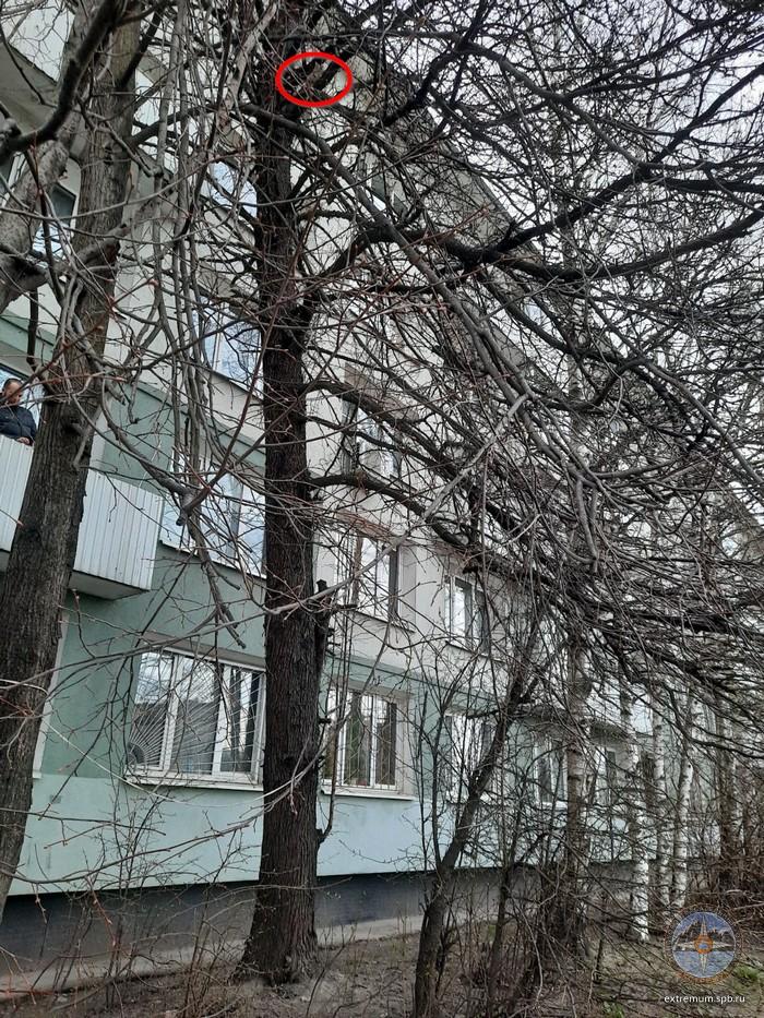 WhatsApp Image 2022-05-02 at 20.29.14.jpeg