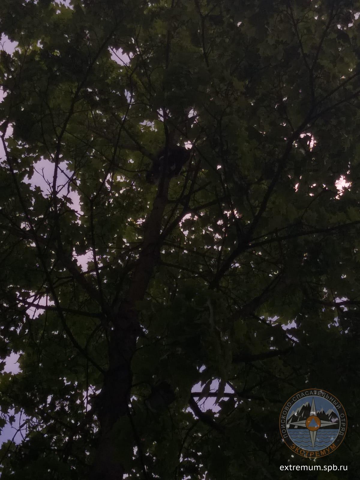 WhatsApp Image 2022-06-05 at 19.51.54.jpeg