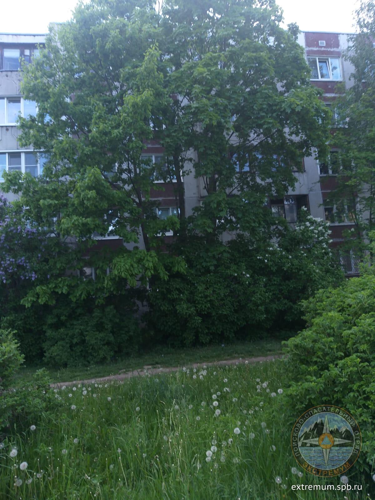 WhatsApp Image 2022-06-05 at 19.52.05.jpeg