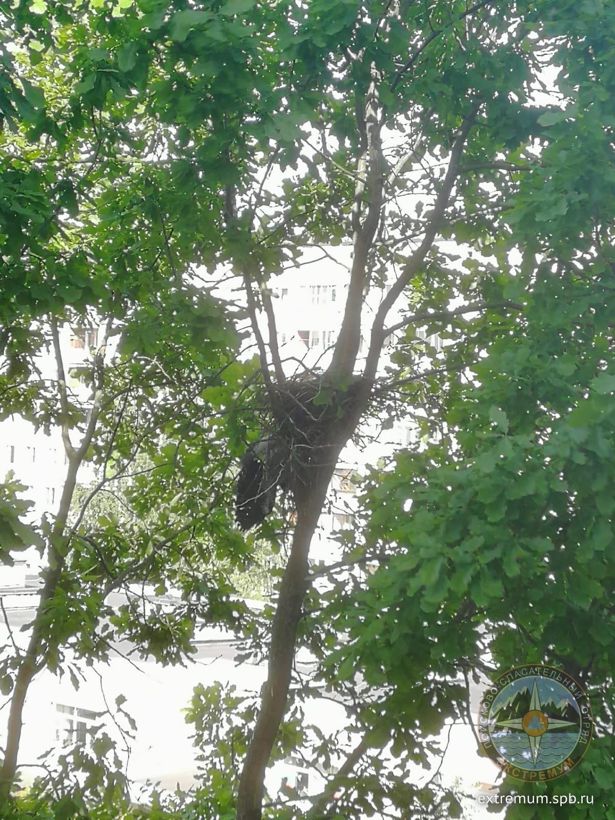 WhatsApp Image 2022-06-08 at 09.43.02.jpeg