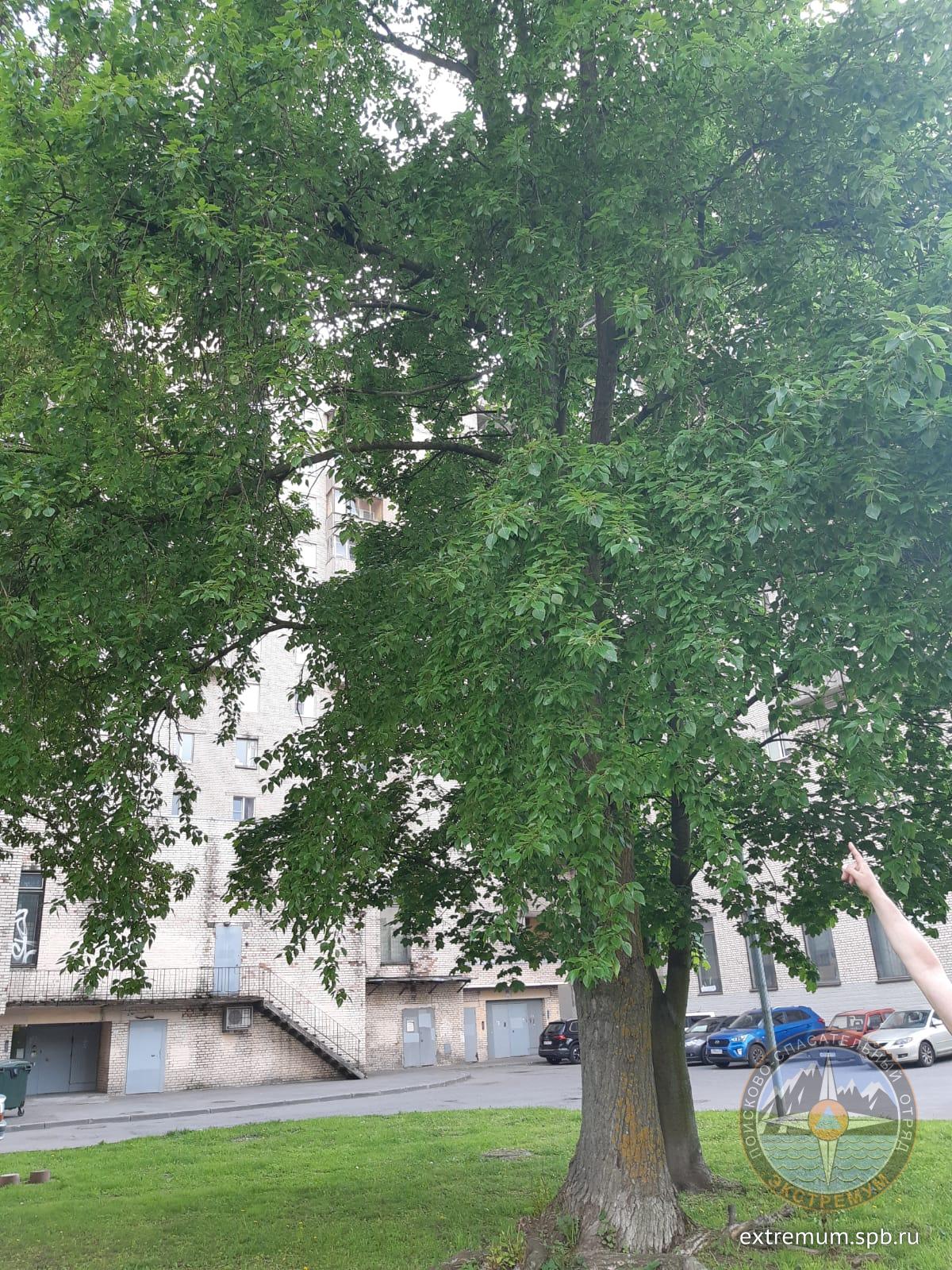 IMG-20220611-WA0005.jpg