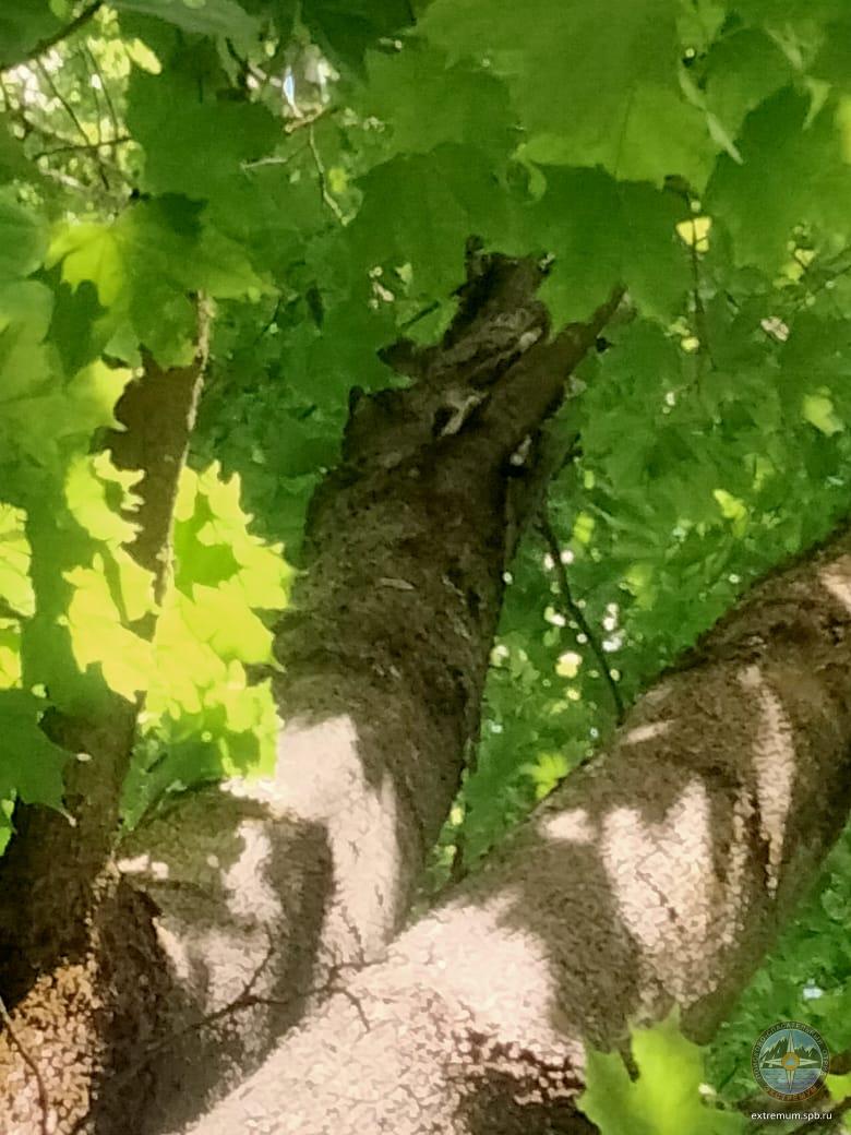 WhatsApp Image 2022-06-13 at 11.56.59 (1).jpeg