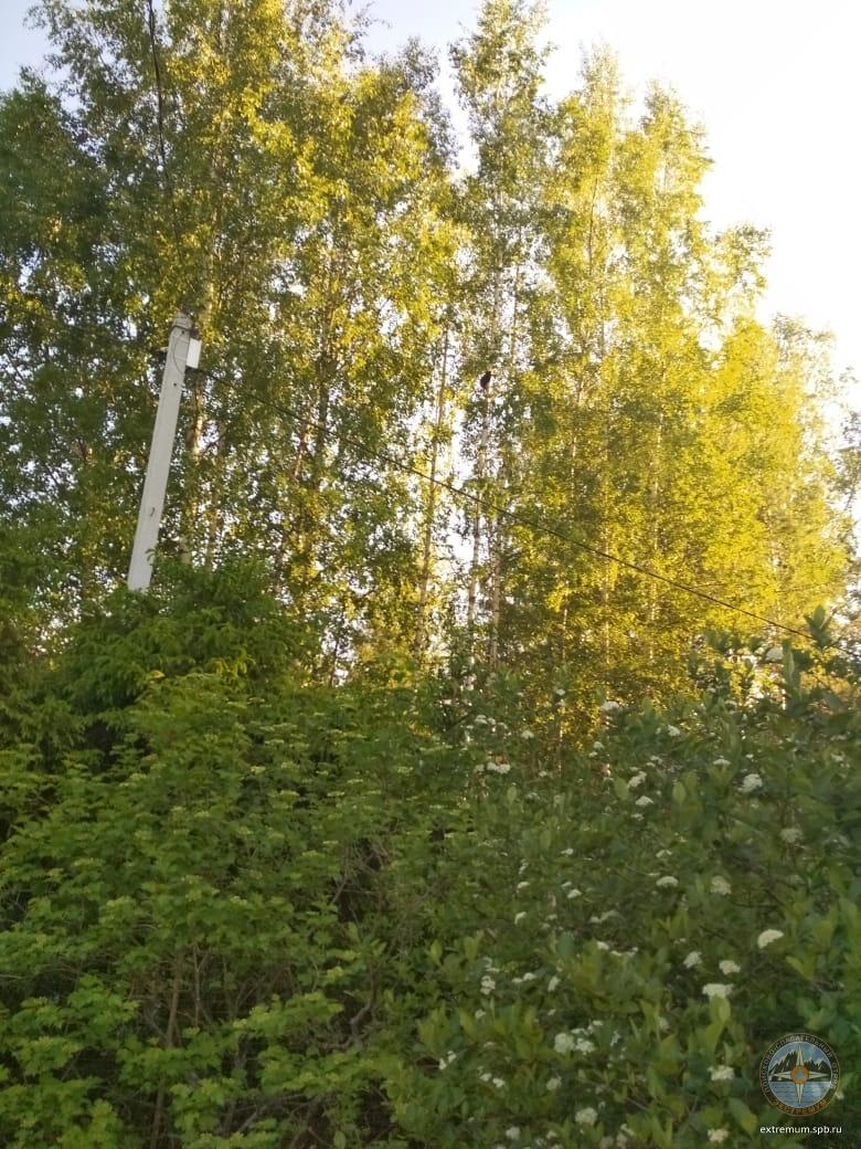 7404 Апраксино.jpg