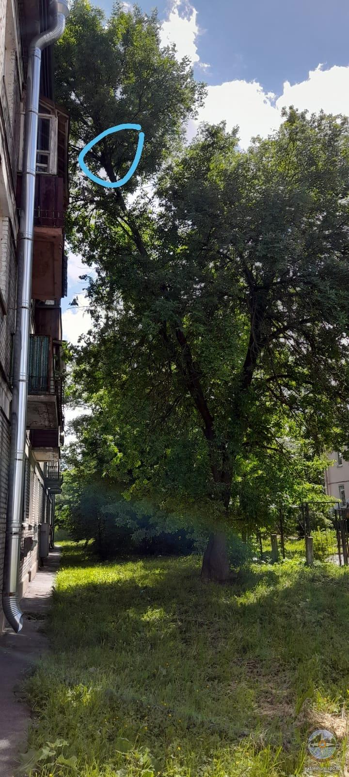 WhatsApp Image 2022-06-16 at 13.12.24.jpeg