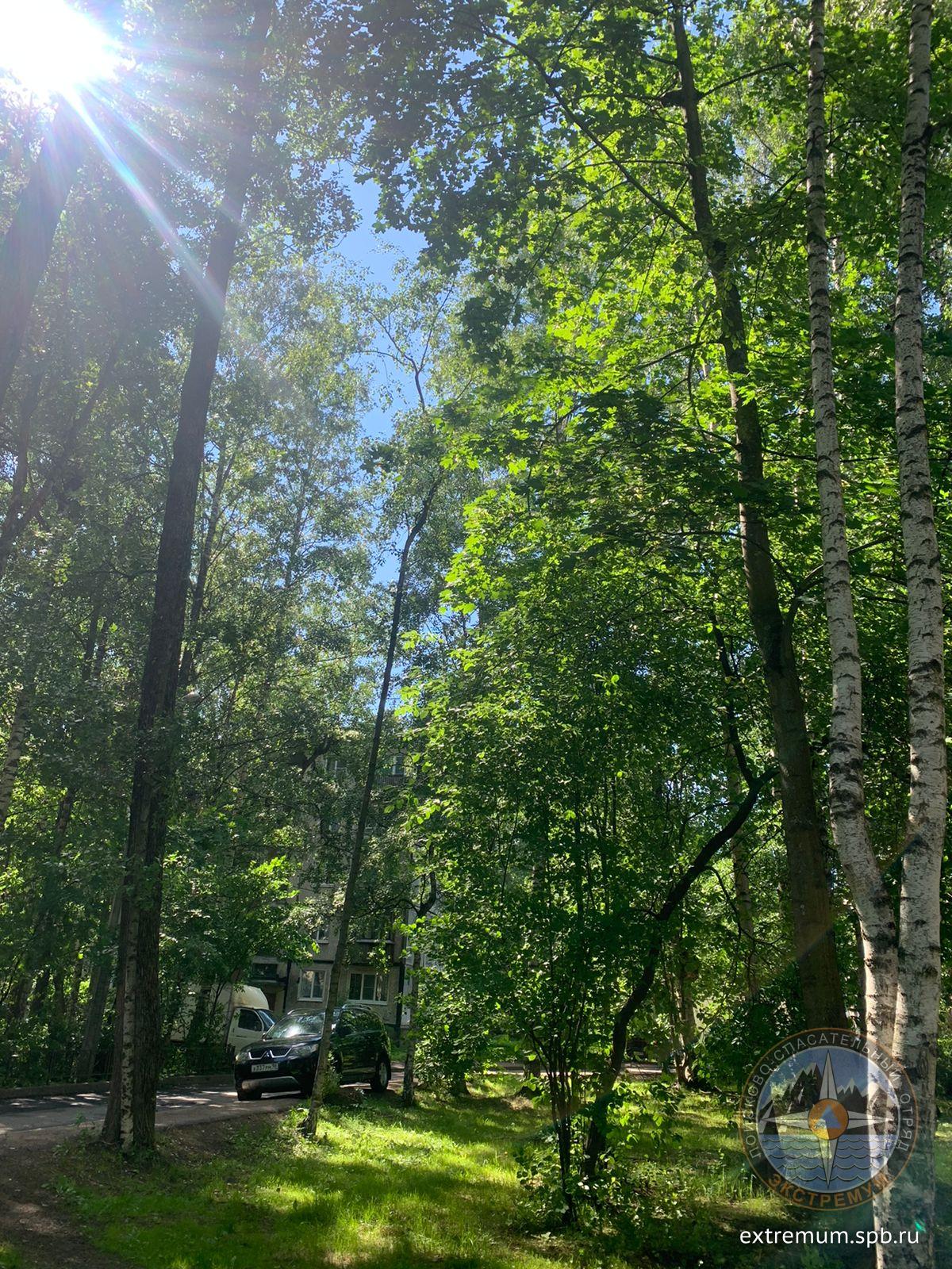 WhatsApp Image 2022-06-16 at 15.09.11.jpeg