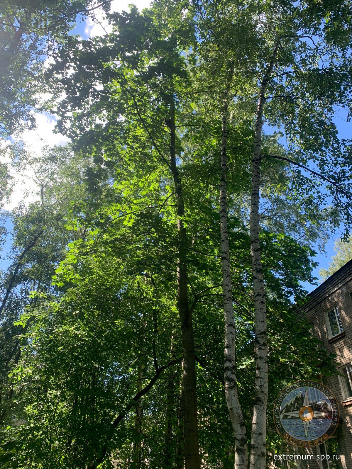 WhatsApp Image 2022-06-16 at 15.09.07.jpeg