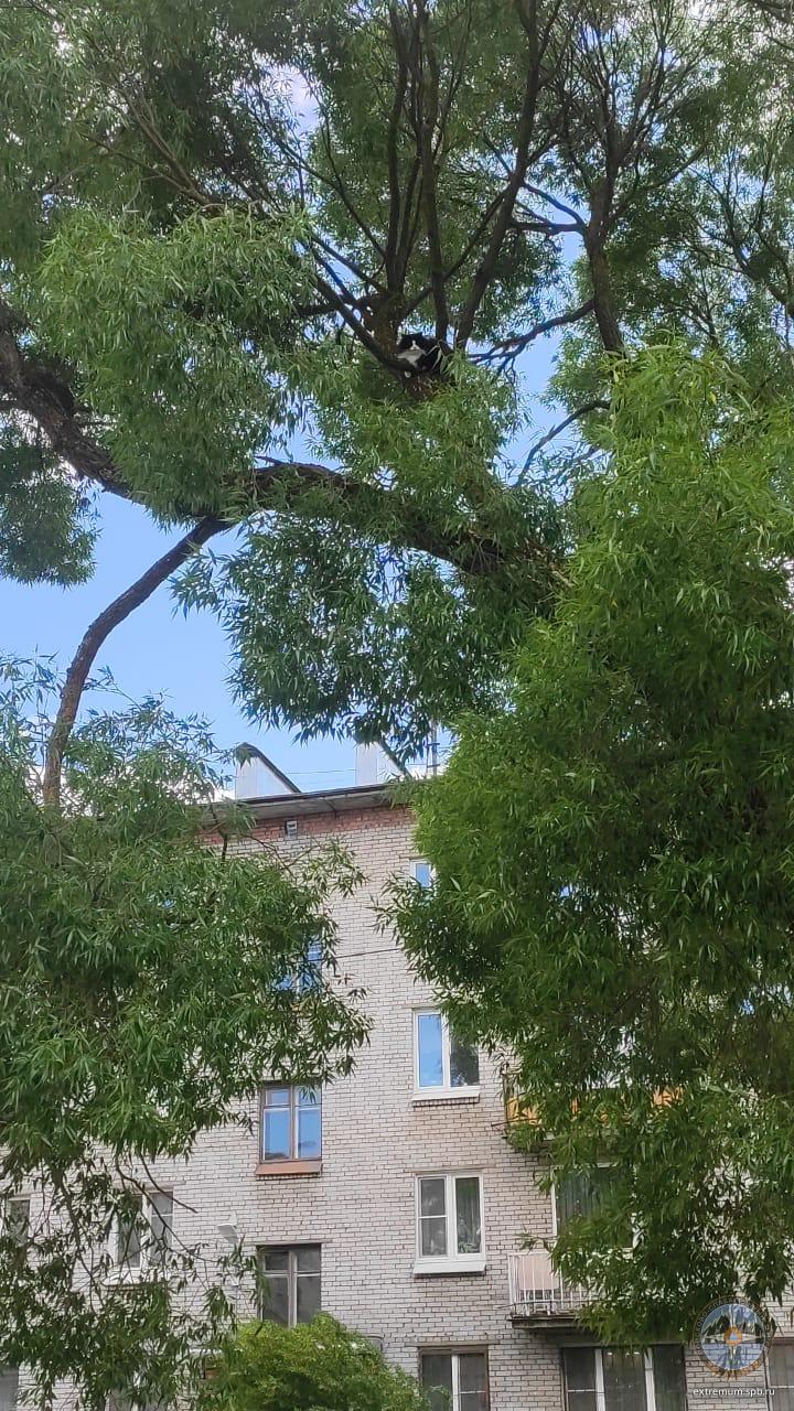 WhatsApp Image 2022-06-16 at 15.49.57.jpeg