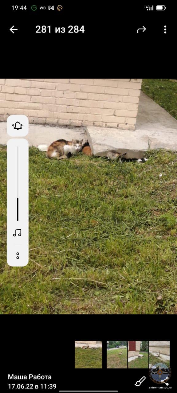 WhatsApp Image 2022-06-17 at 19.47.56.jpeg