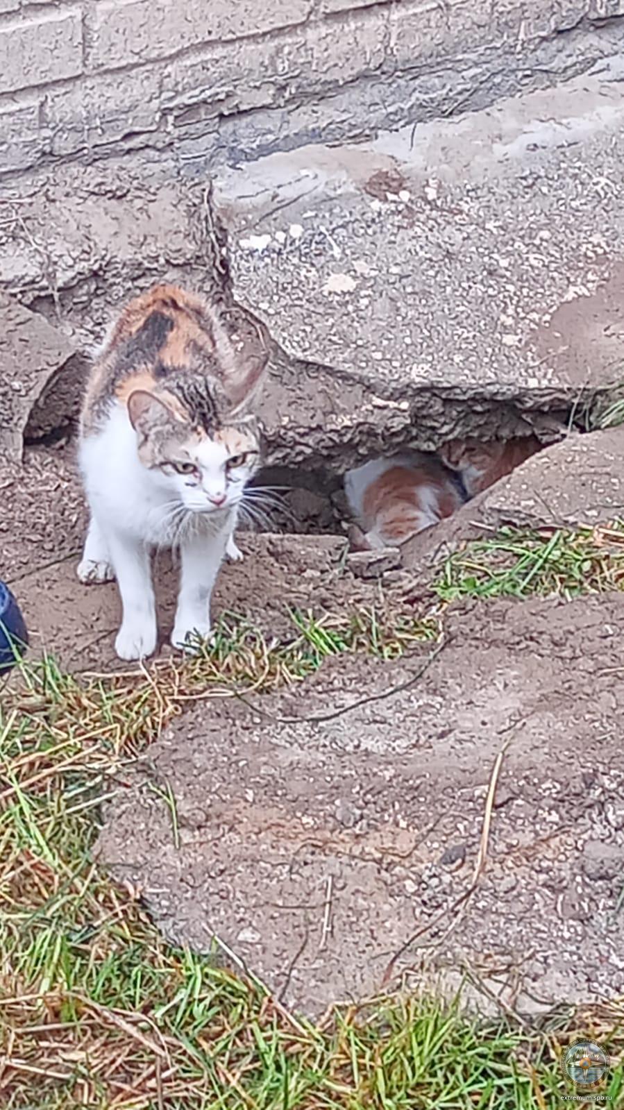 WhatsApp Image 2022-06-17 at 19.56.16.jpeg