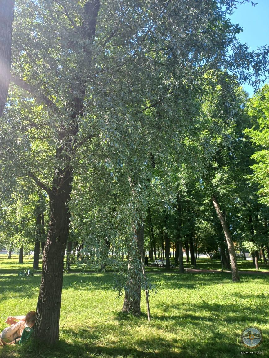 WhatsApp Image 2022-06-25 at 15.50.41.jpeg