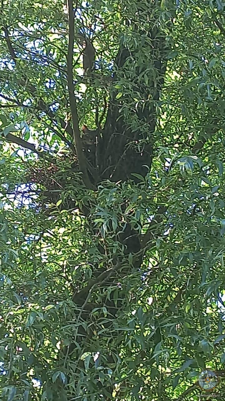 WhatsApp Image 2022-06-25 at 15.58.23.jpeg