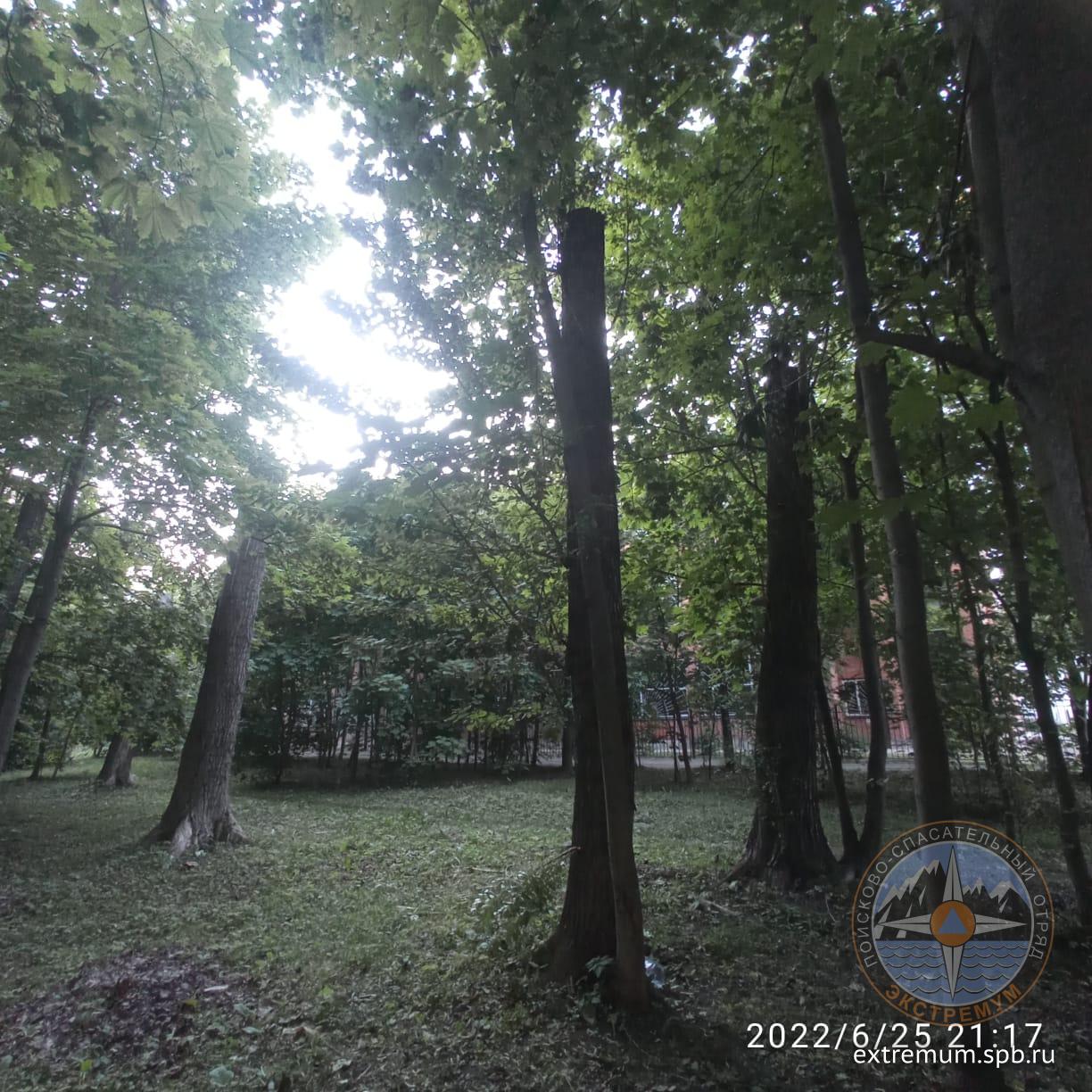 WhatsApp Image 2022-06-25 at 21.21.51.jpeg