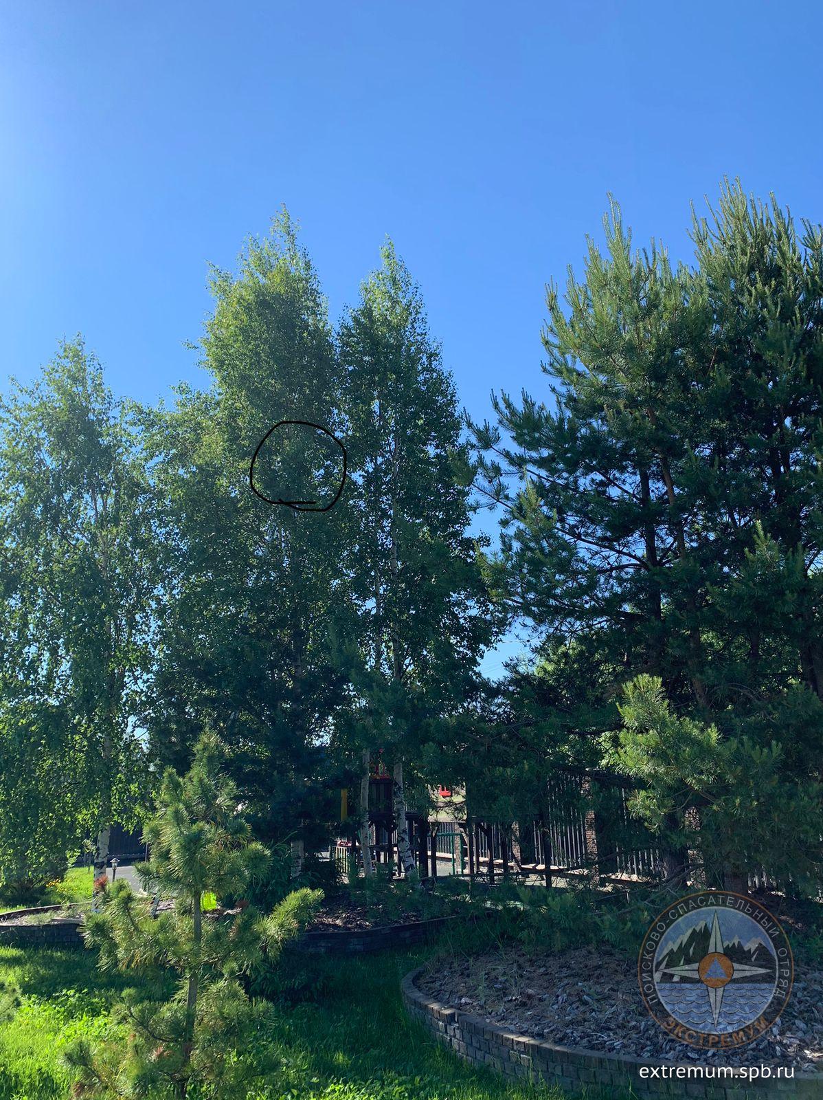 WhatsApp Image 2022-06-26 at 09.38.10.jpeg