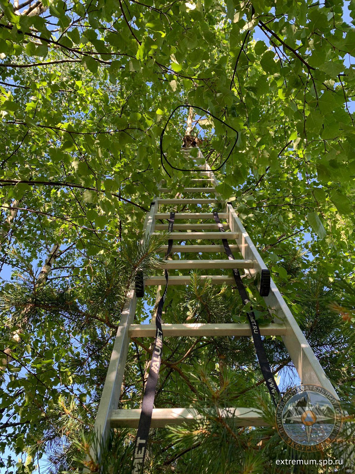 WhatsApp Image 2022-06-26 at 09.38.20.jpeg