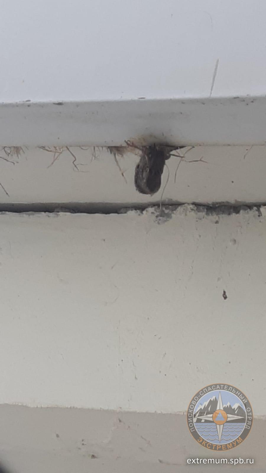 WhatsApp Image 2022-07-03 at 14.42.01.jpeg