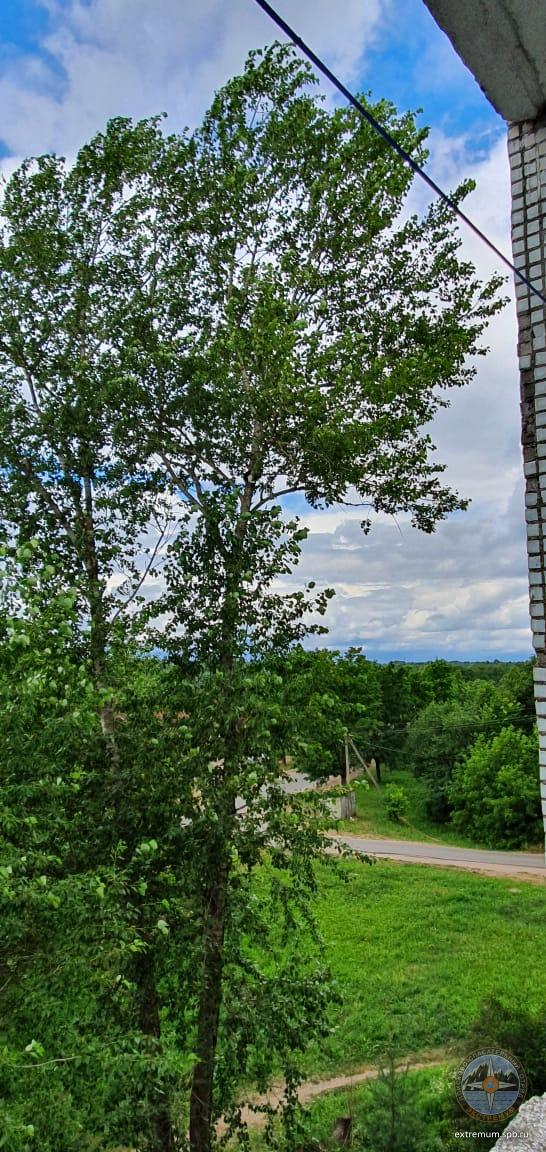 WhatsApp Image 2022-07-09 at 12.38.06.jpeg