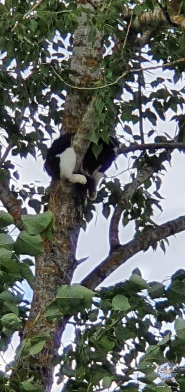 WhatsApp Image 2022-07-09 at 12.38.06 (1).jpeg