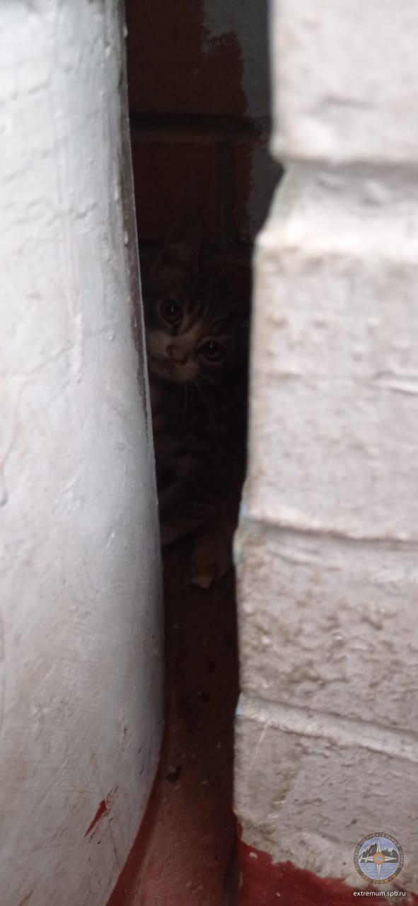 WhatsApp Image 2022-07-09 at 15.29.50.jpeg