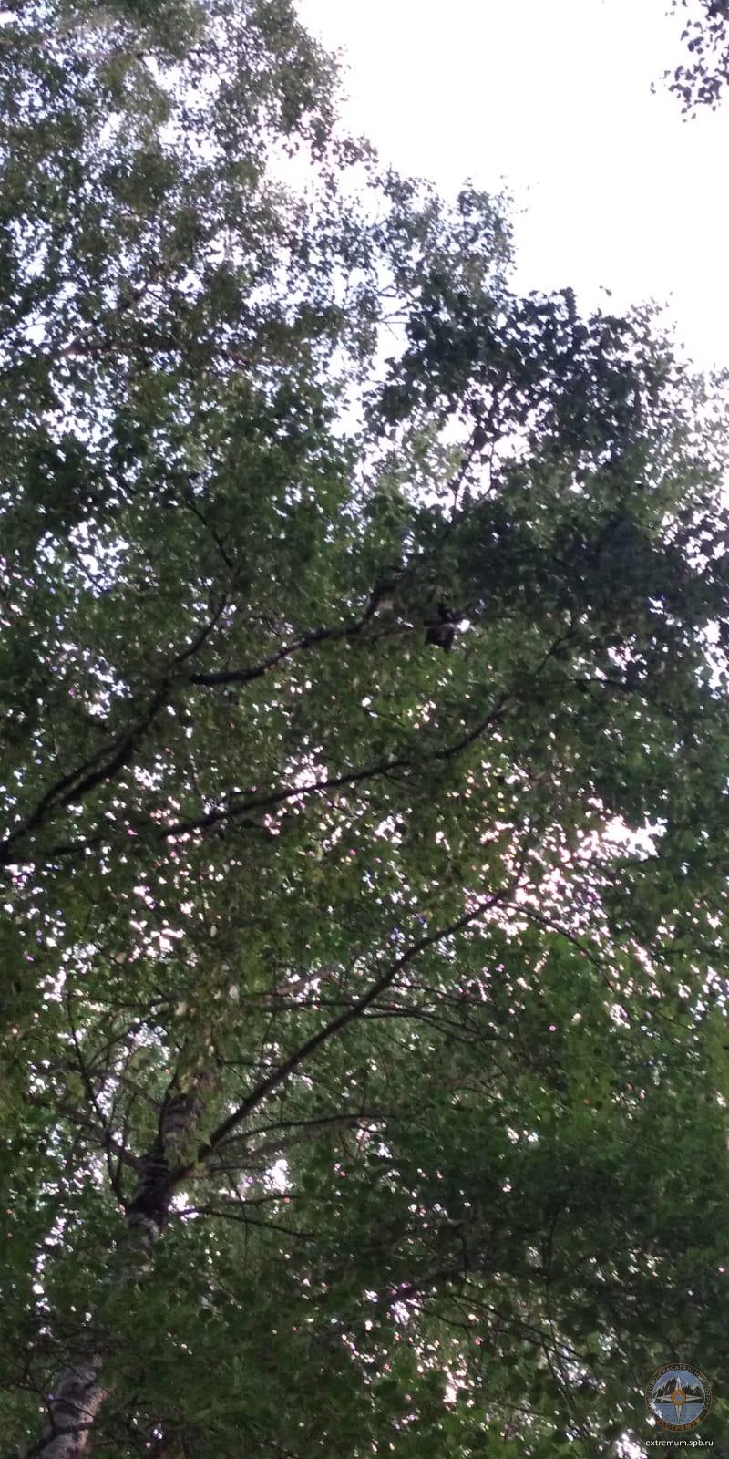 WhatsApp Image 2022-07-10 at 20.45.24.jpeg