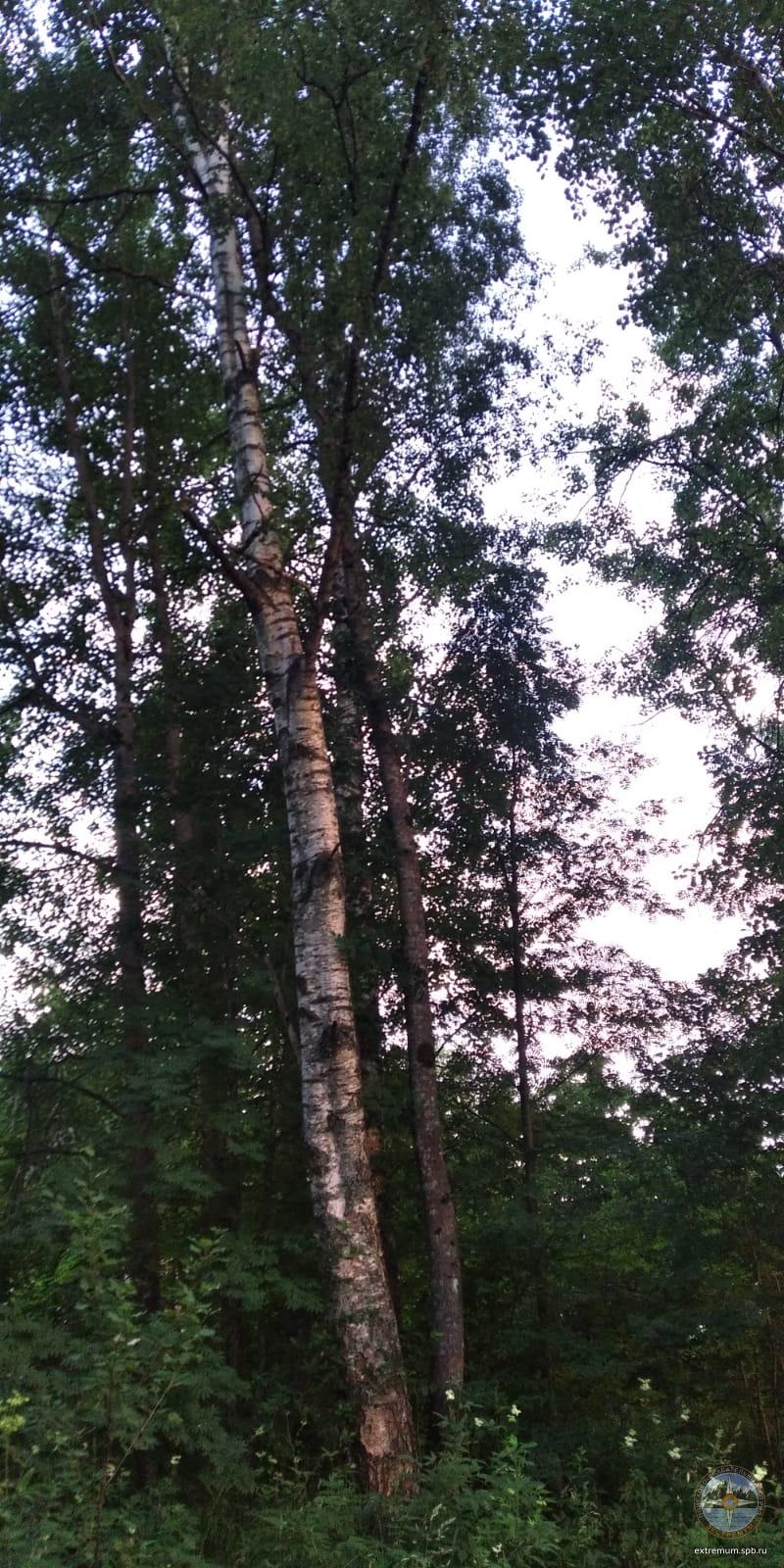 WhatsApp Image 2022-07-10 at 20.46.03.jpeg