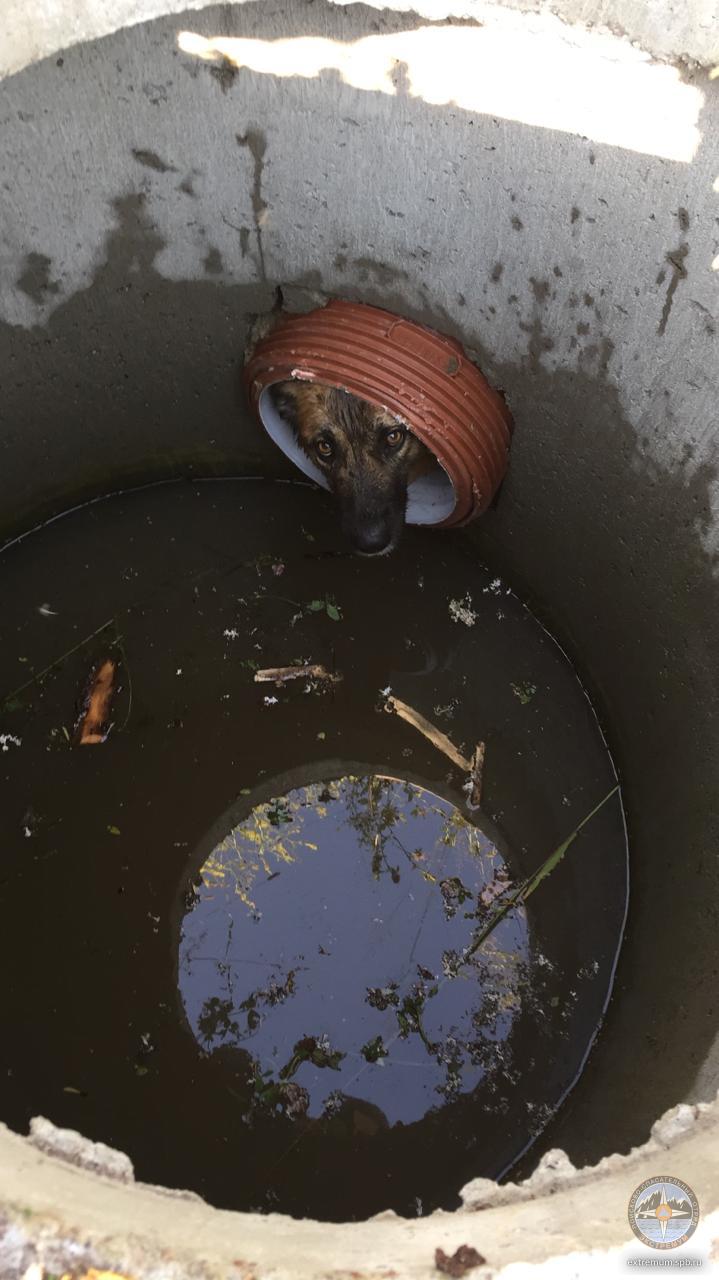 WhatsApp Image 2022-07-21 at 18.40.46.jpeg