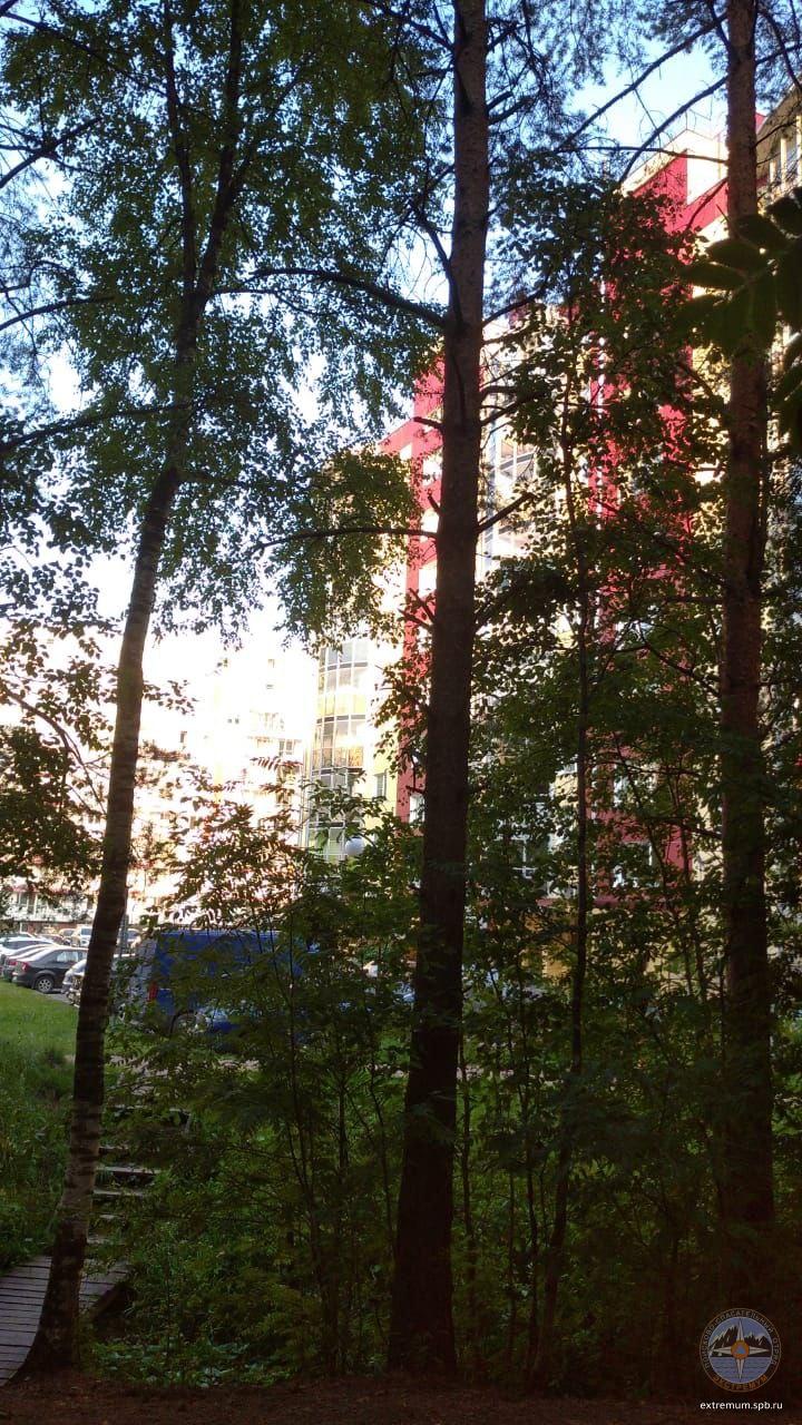 vsevolozsk_suid2.jpg
