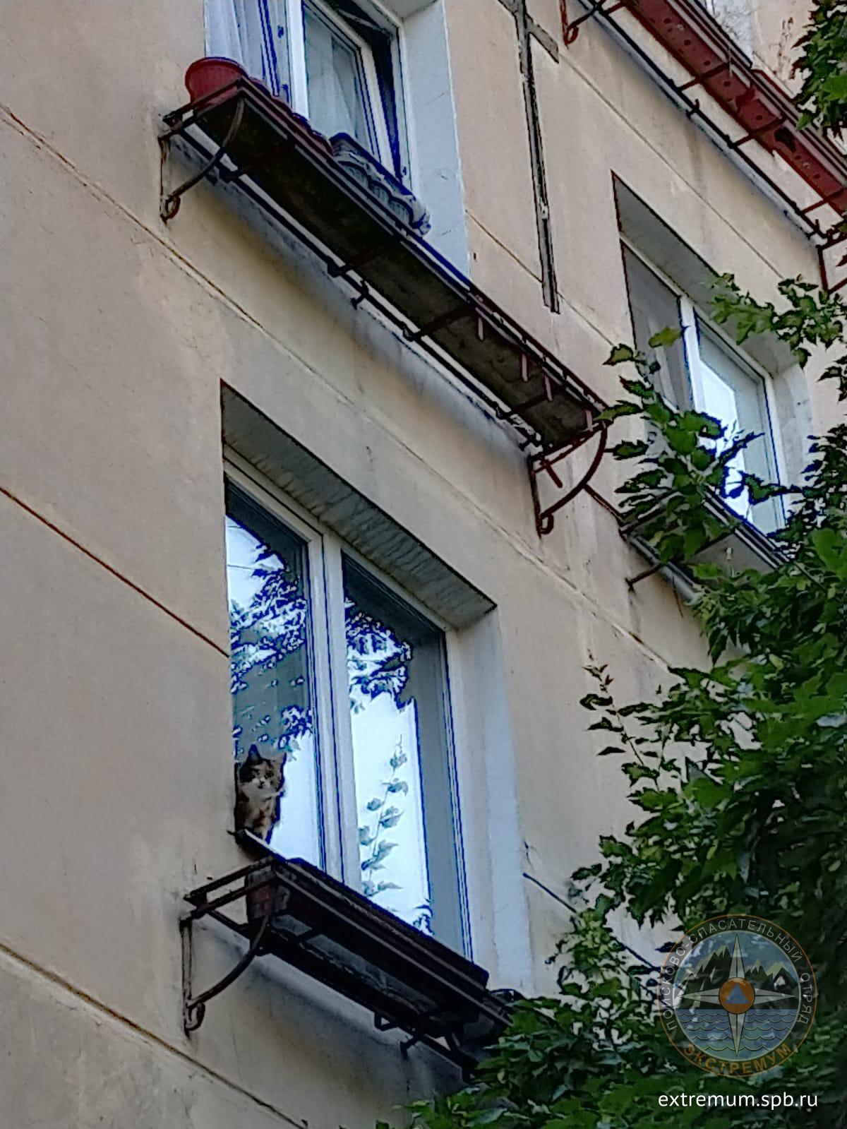 WhatsApp Image 2022-07-23 at 09.05.33.jpeg